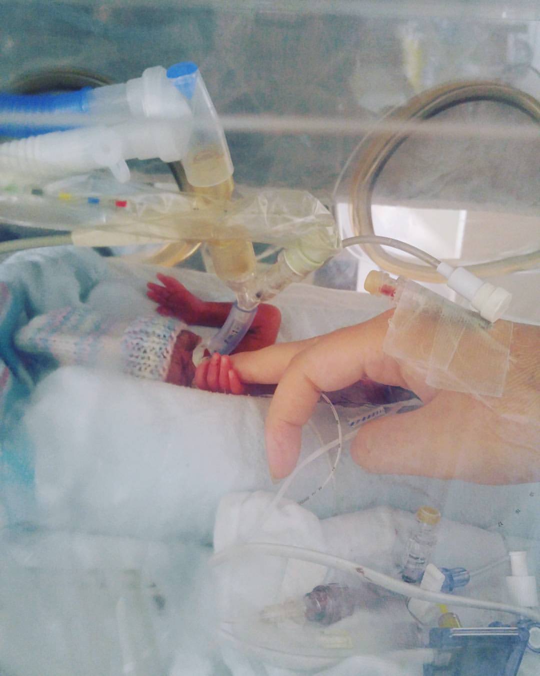 13329398_637622706401369_627697028813452727_o